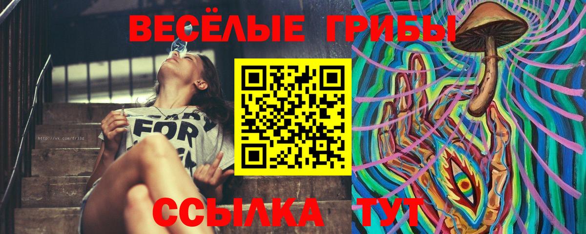 Туапсе  Галлюциногенные грибы Magic Shrooms  Вход с VPN 